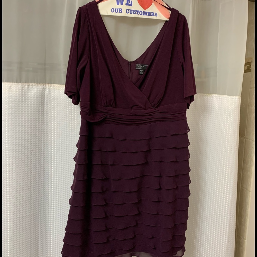 Plum dress only wore one time.